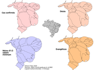 Quatre anamorphoses des cas connus et décès enregistrés (Brésil)