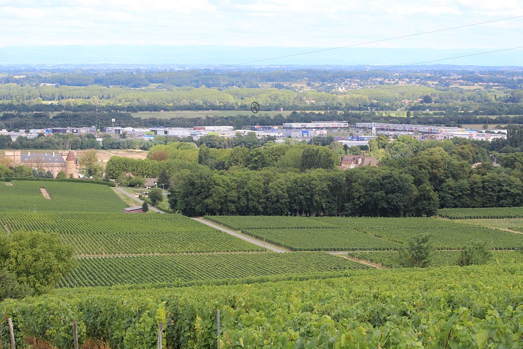 Zone commerciale cachée par la vigne à Chèches sur Saône