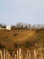 Amphithéâtre de vignes au clos Thou, commune de Jurançon