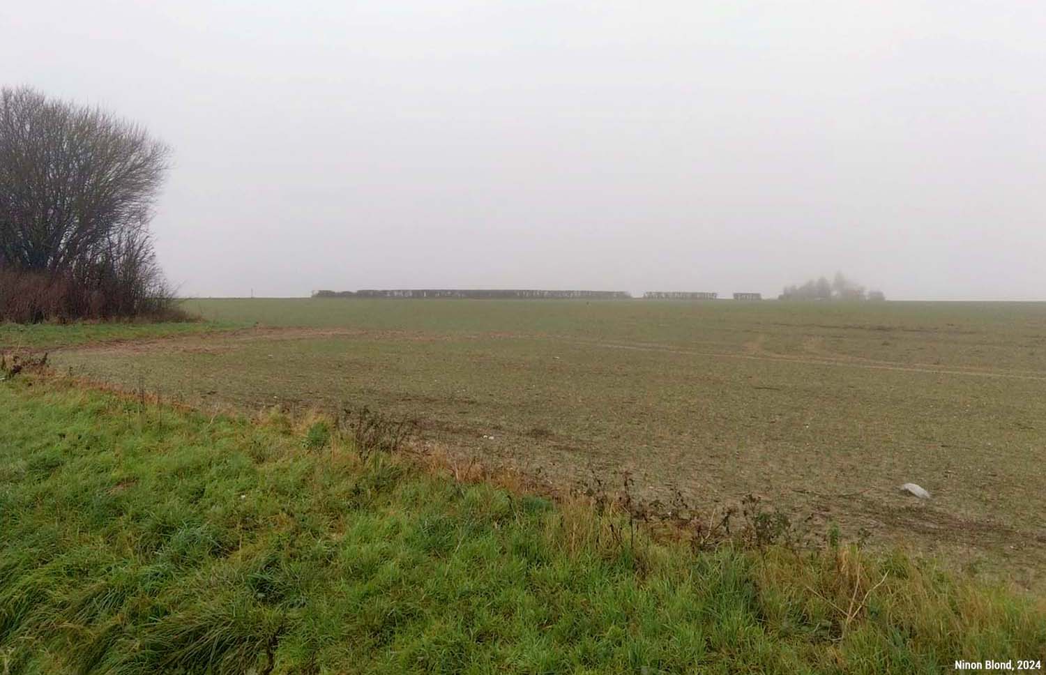 Paysage betteravier en hiver, après récolte (Hauts-de-France)