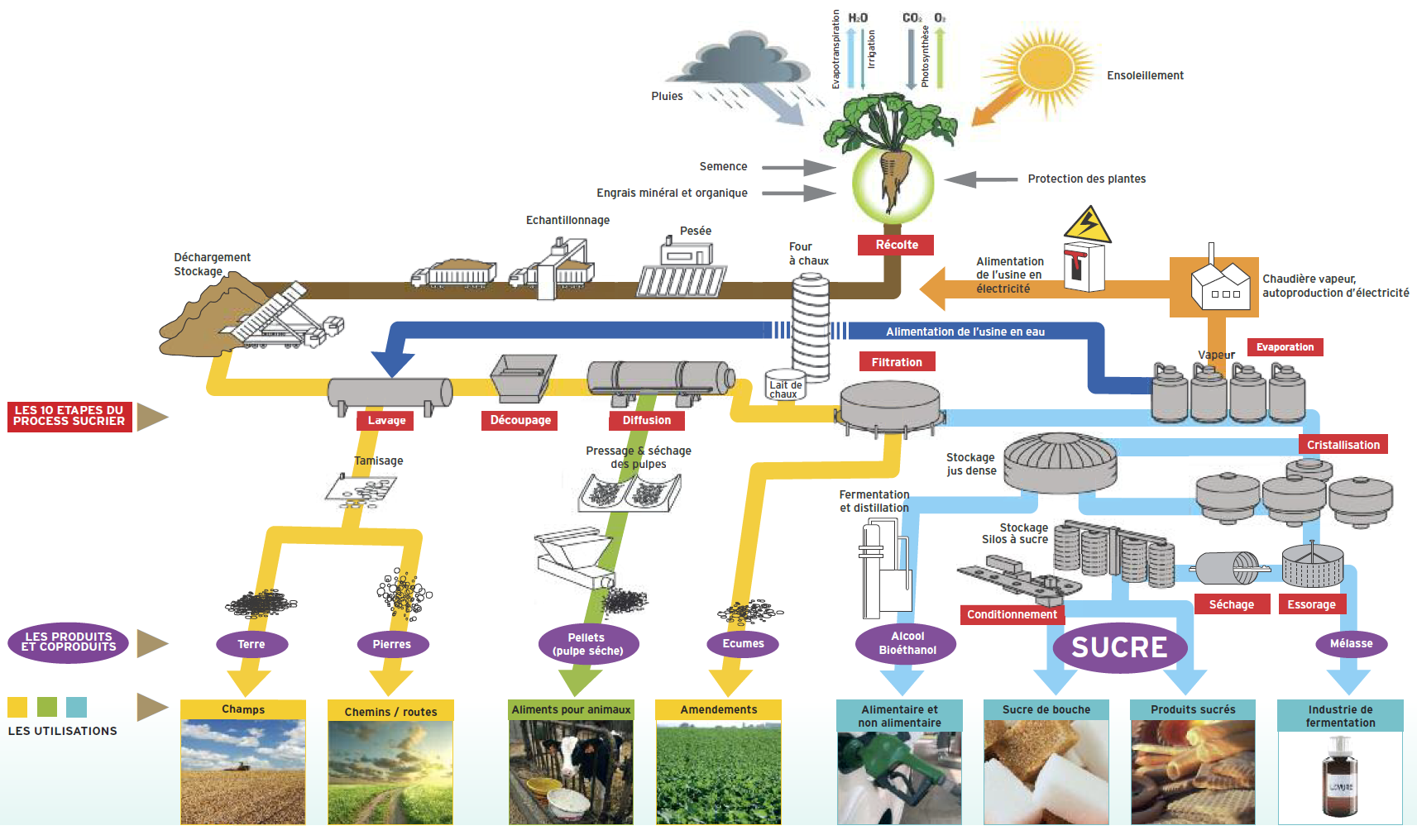 Les procédés industriels de la filière sucre et ses sous-produits