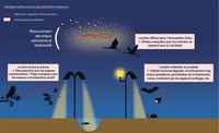  Les principaux effets de la pollution lumineuse sur les animaux non humains