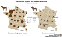 Distribution spatiale des chevaux en France et en Normandie