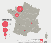 Carte des poulains Cob normand nés en France métropolitaine et immatriculés