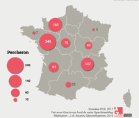 Carte des poulains Percherons nés en France métropolitaine et immatriculés