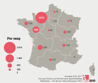 Carte des poulains Pur-sang nés en France métropolitaine et immatriculés