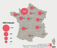 Carte des poulains Selle français nés en France métropolitaine et immatriculés