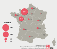 Carte des poulains Trotteurs nés en France métropolitaine et immatriculés