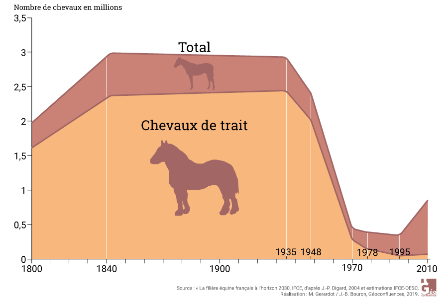 Maie Gerardot – évolution du nombre de chevaux en France