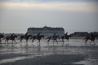 Galopeurs à l’entraînement sur la plage de Deauville (Calvados)