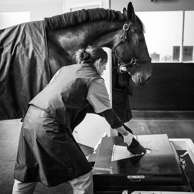 Photo 23 ©olivier houdart   dollar  Organisme CIRALE