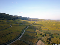 Vue aérienne de la route des vins au cœur du vignoble (Alsace)