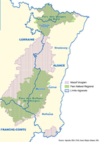 Le Massif vosgien, 39 % du territoire alsacien (Alsace)