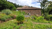 Un jardin potager très fleuri (Puy-de-Dôme)