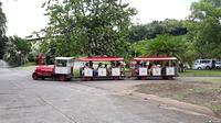 Petit train touristique (Martinique)