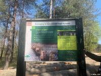 Graffitis porteurs de messages politiques sur un panneau de l’ONF en forêt de Fontainebleau