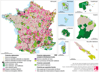 Superposition des dispositifs de protection de l'environnement : les principaux types d’espaces protégés en France