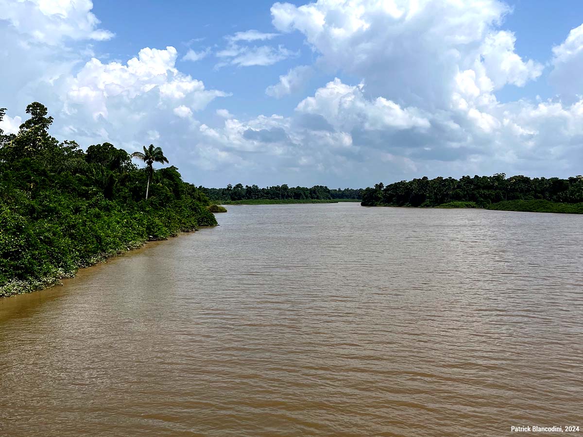 Embouchure de la Mana, littoral guyanais, estuaire