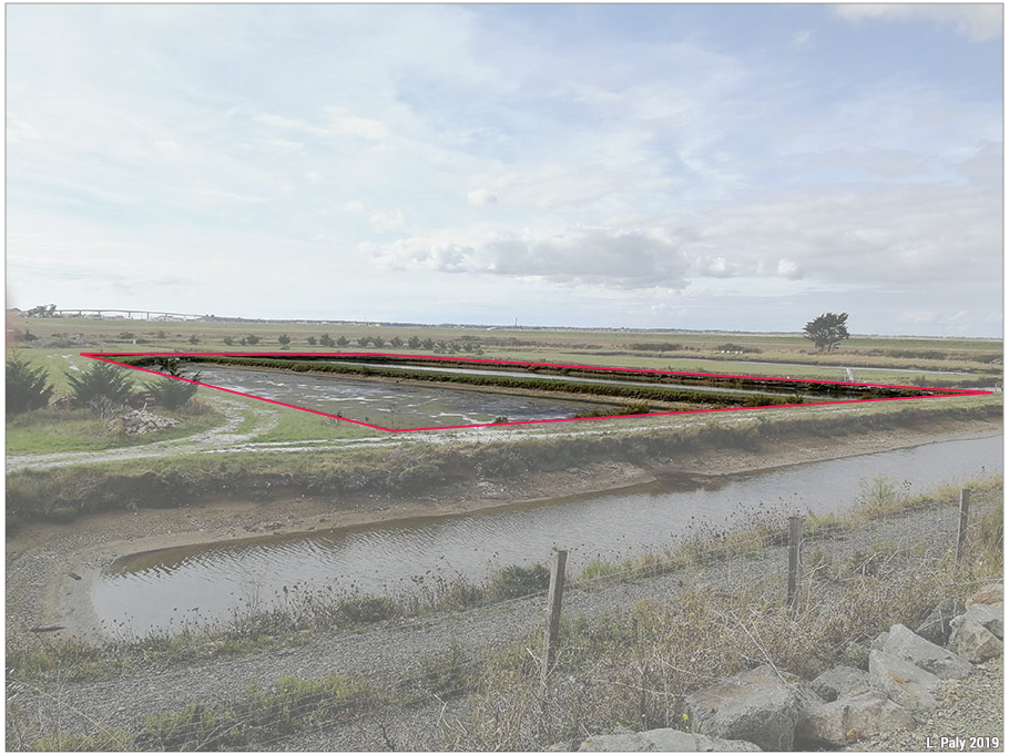 Les polders du littoral atlantique français : aménagements et paysages (1/6)