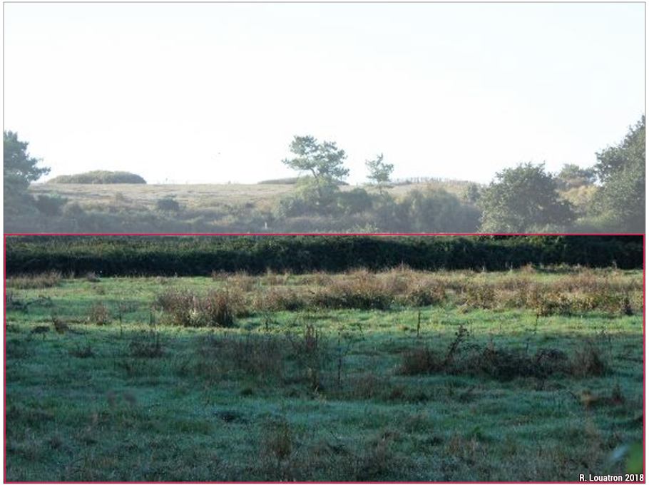 Les polders du littoral atlantique français : aménagements et paysages (6/6) 