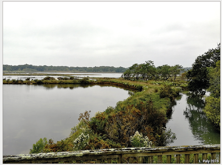 Marais de Pen en Toul