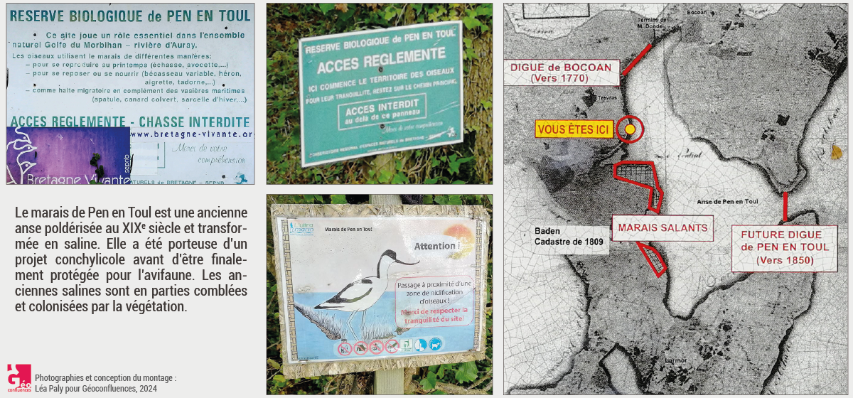 Protection des zones humides, le marais de Pen en Toul (Larmor-Baden, Morbihan, Bretagne) (3/4) 