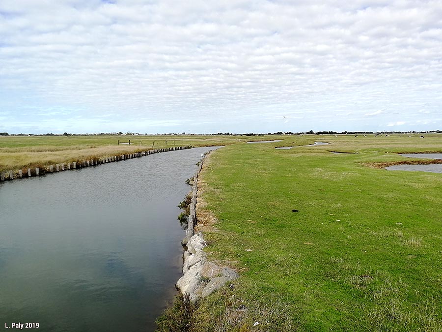 Zones humides du littoral atlantique français : variété des paysages, variété des usages (2/8)