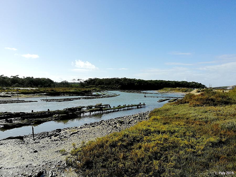 Zones humides du littoral atlantique français : variété des paysages, variété des usages (3/8)