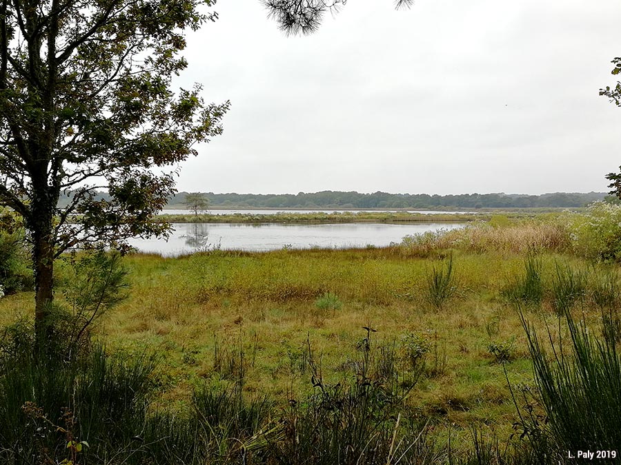 Zones humides du littoral atlantique français : variété des paysages, variété des usages (4/8)