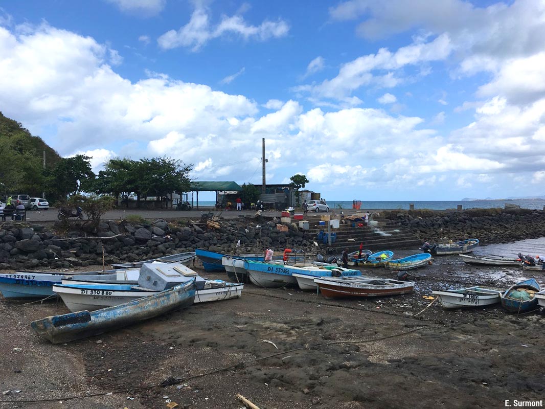 Le port de pêche de Petite Terre, Mayotte