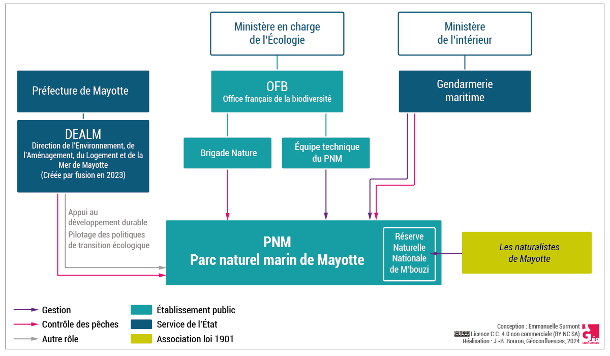 fonctionnement organigramme