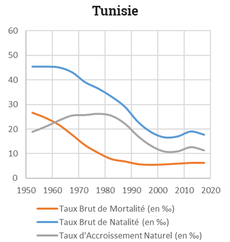Yoann Doignon — Graphique transition démographique tunisie