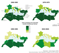 La fécondité des pays méditerranéens (1950-2015)