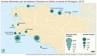 Carte de localisation des ports de pêche bretons classés par prises (valeur et volume)