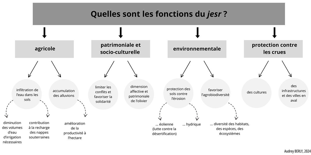 Fonctions du jesr
