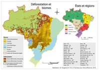 La déforestation au Brésil