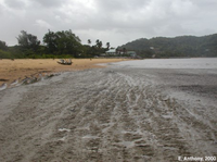 Plaquage de vase fluide arrivé en une marée sur la plage de Montjoly à Rémire-Montjoly (Guyane, France)