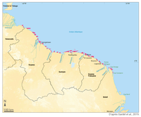 Entre les deltas de l’Amazone et de l’Orénoque, la côte vaseuse des Guyanes