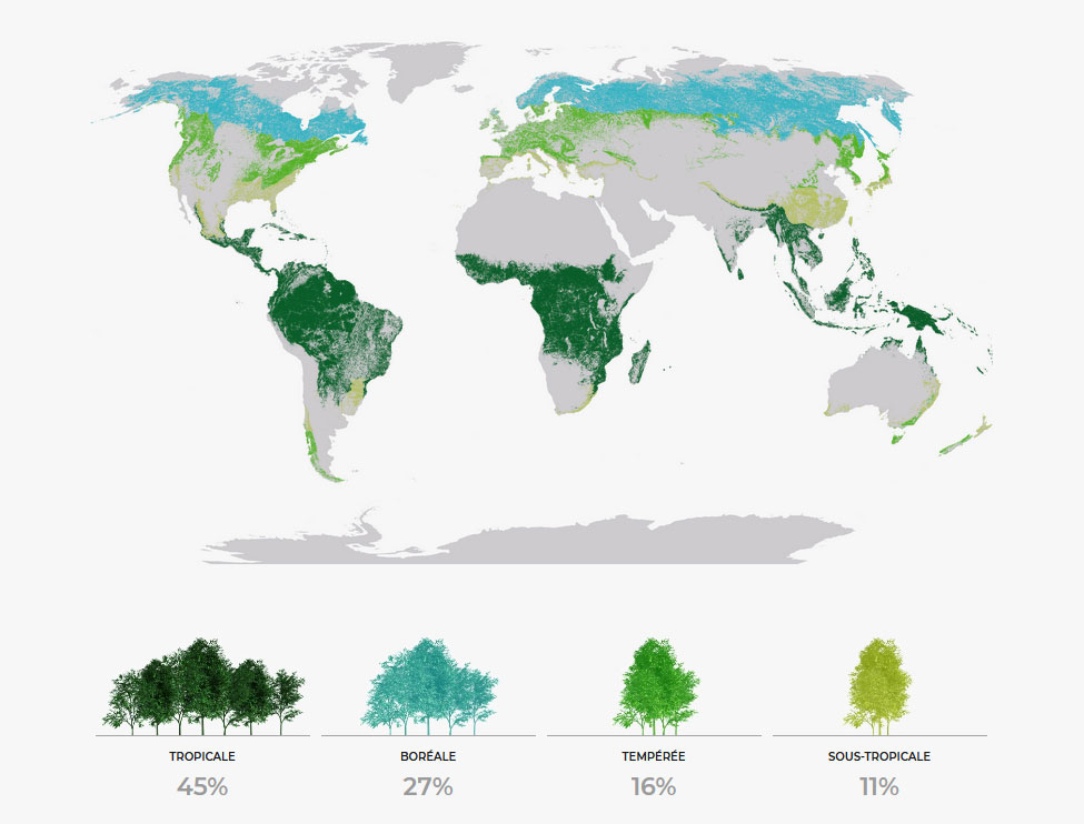carte forêts FAO