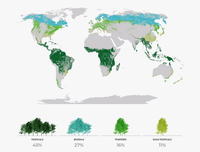 Les forêts dans le monde d'après la F.A.O.