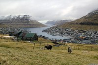 Village et port de Klaksvík, en fond de baie (Îles Féroé)