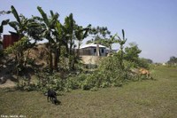 Buttes artificielles construites par l’ONG Friendship pour surélever des maisons au Bangladesh sur l’île de Kochkhali