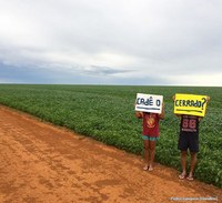 Agriculture industrielle et déforestation : « Mais où est passé le Cerrado ? » (Goias, Brésil)