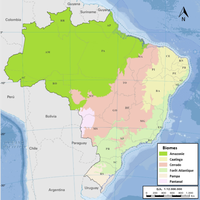 Localisation des principaux biomes brésiliens