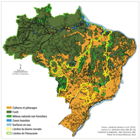 Usages du sol au Brésil en 2000