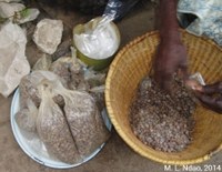 Préparation du nététou (Ziguinchor, Sénégal)