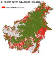 Cartes des surfaces déforestées à Bornéo (Indonésie, Malaisie) entre 1973 et 2010