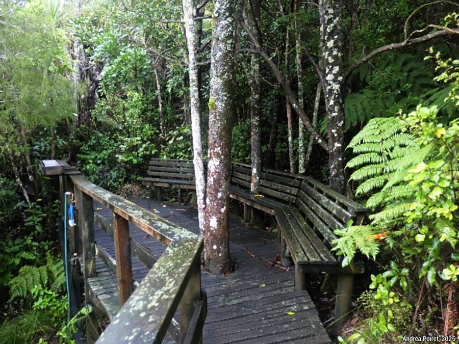 abreuvoirs - photo Andréa Poiret