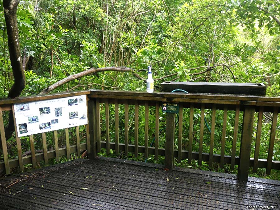 abreuvoirs - photo Andréa Poiret