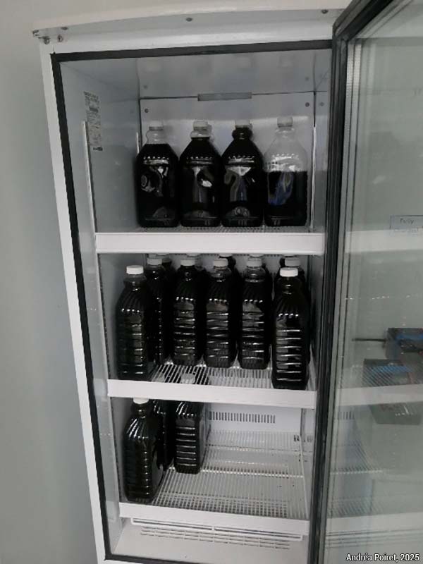 nourrissage - photo Andréa Poiret